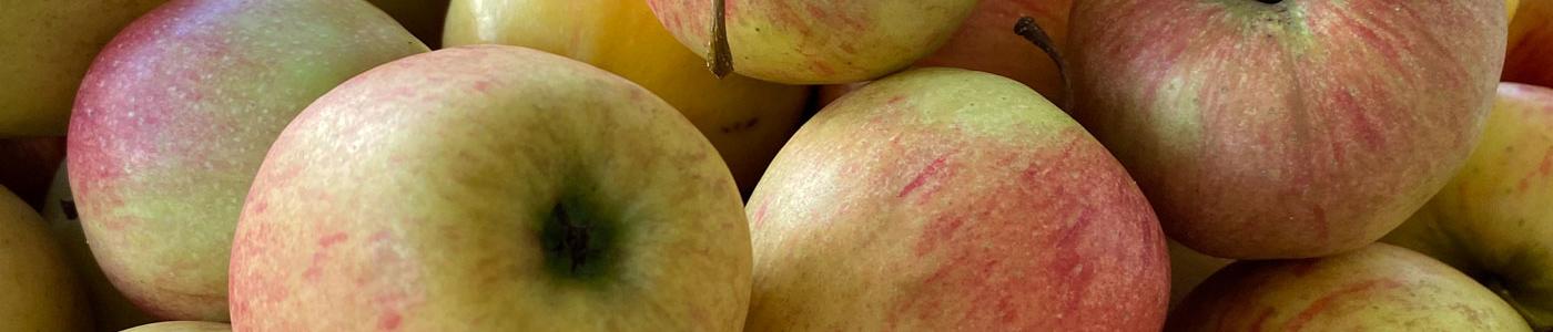 241108_apfel_02