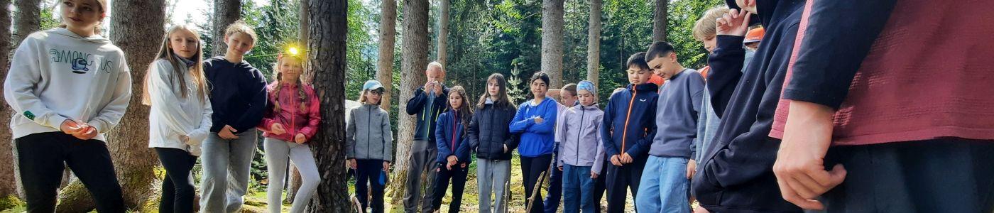 Kinder stehen nebeneinander im Wald