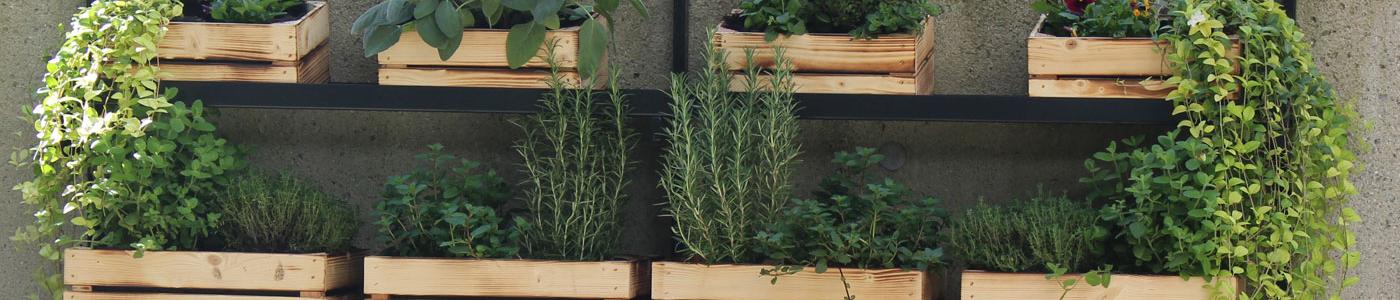 Vertical Garden