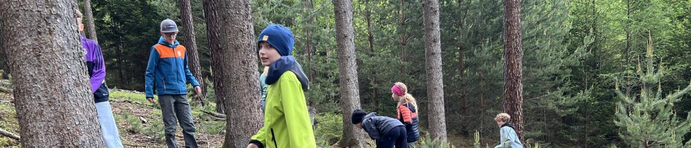 Schüler:innen im Wald