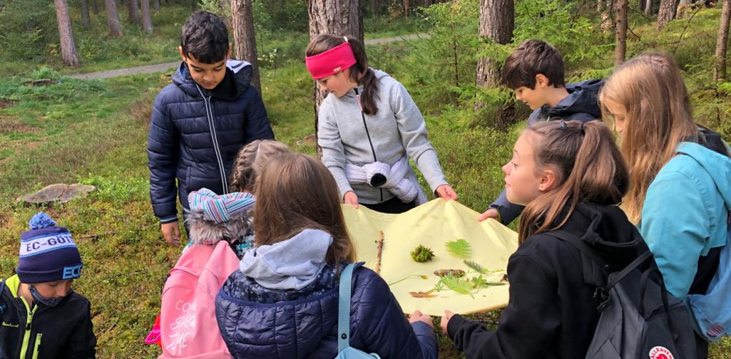 201007_Wald_01 Waldpädagigoscher Tag 2020
