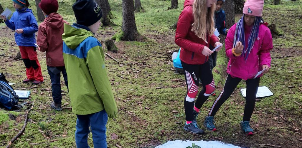 201007_Wald_03 Waldpädagigoscher Tag 2020