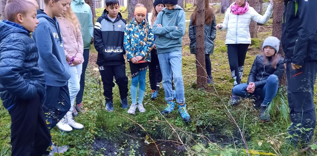 201007_Wald_04 Waldpädagigoscher Tag 2020