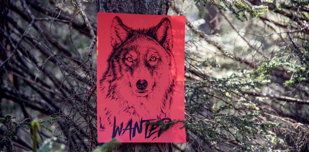 2021_kunstraum_cohabitation_01