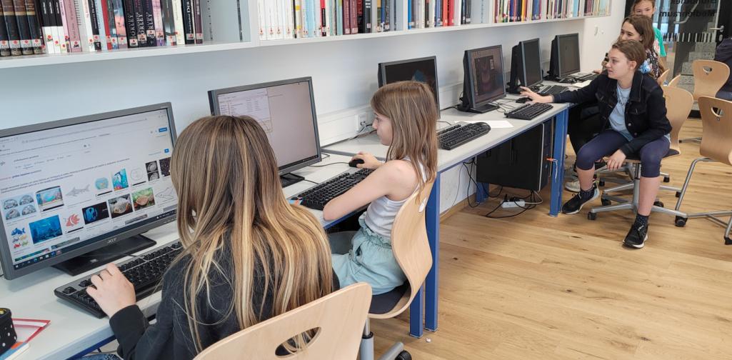 Schüler:innen sitzen an PCs unter einer Bücherwand